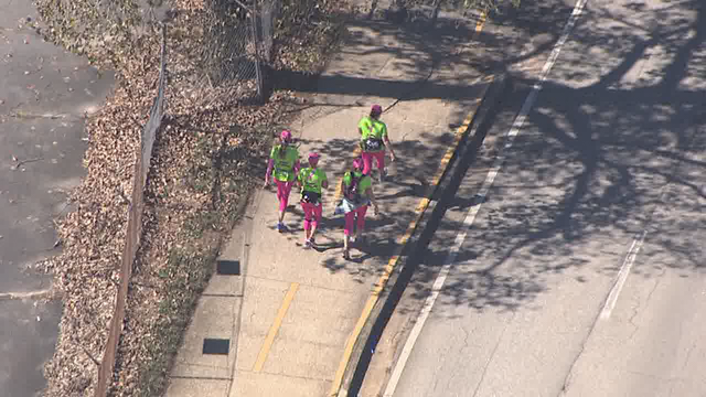 Susan G. Komen Atlanta Three-Day Walk steps off