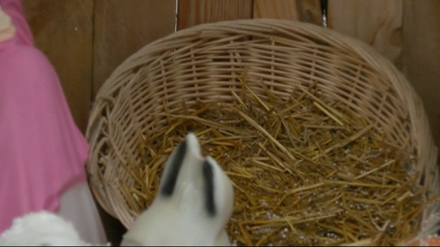Baby Jesus Stolen from Boise Nativity Scene