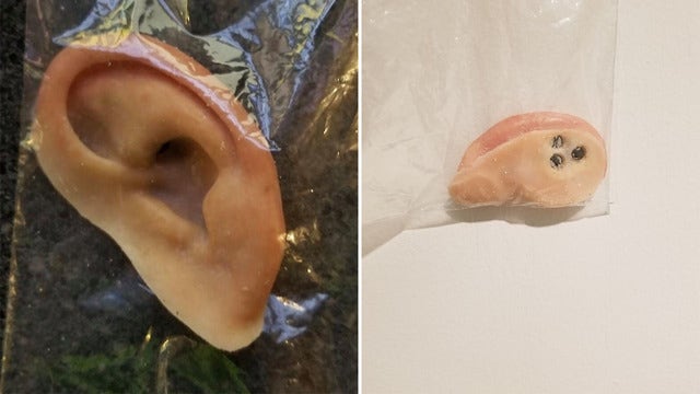 Holmes Beach police find owner of prosthetic ear found at beach