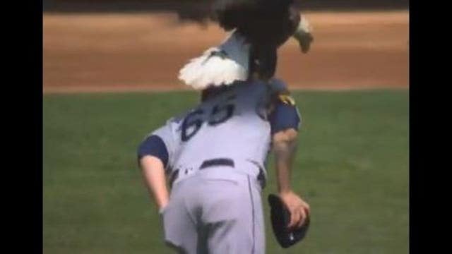 WATCH: Bald eagle goes after Mariners pitcher at Twins home opener