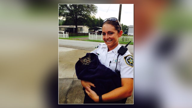 Hillsborough deputy resuscitates cat following fire