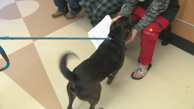 Lifeline Animal Project gets $1 million grant
