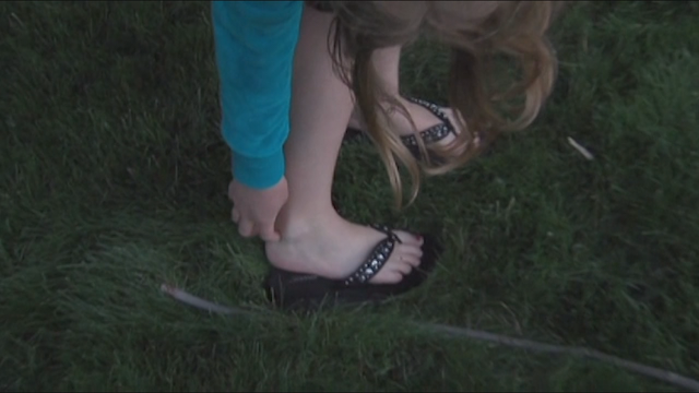 CDC: Insect-borne illnesses on the rise