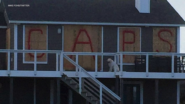 Washington Capitals fans board North Carolina home up with message to Hurricane Florence