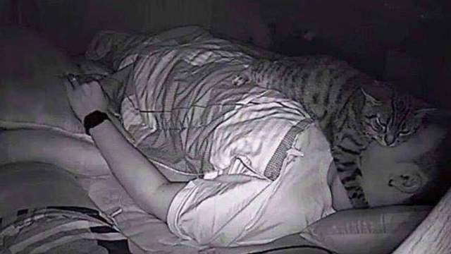 Man sets up camera to find out why he can't breathe at night and it's all because of his cat