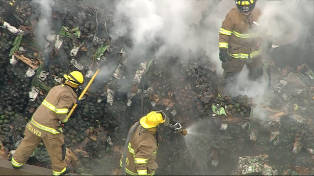 18-wheeler hauling avocados catches fire on I-35E