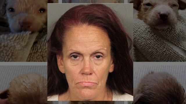 'Puppies aren't people' says lawyer for Coachella woman accused of dumping dogs in trash