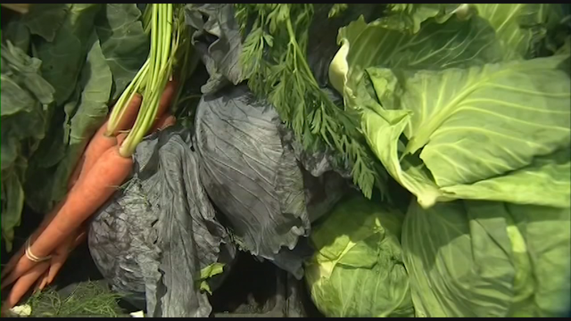 Doctors: Parents raising vegan kids should be prosecuted