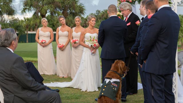 Service dog participates in veteran's wedding as best 'man'