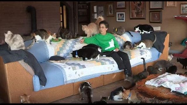 This California cat lady owns more than 1,000 cats