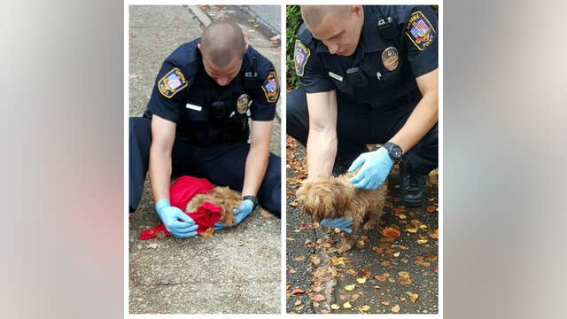 Woman Praises Officer After Dog Rescue