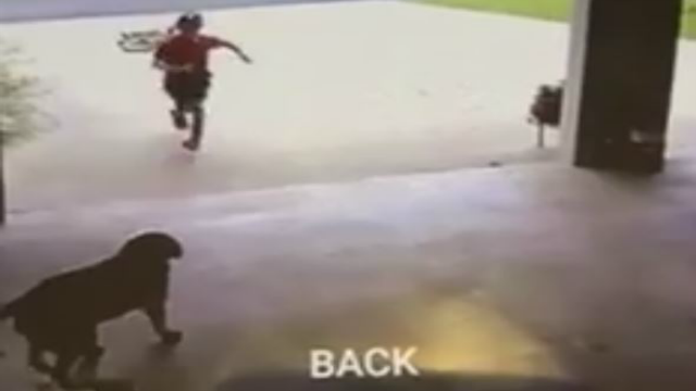 Boy caught sneaking into neighbor's garage for sweet reason