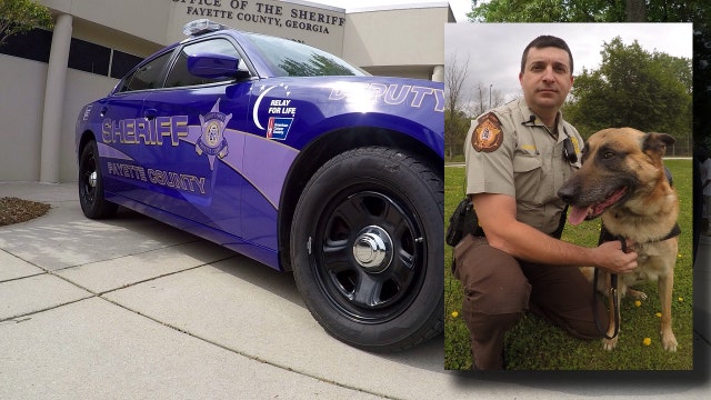 K9 officer, sheriff's office battle cancer in unique way