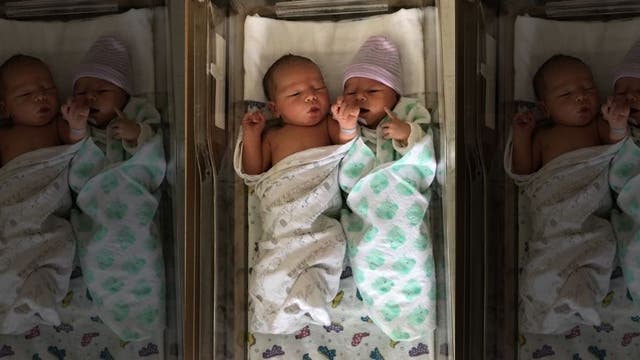 Twin brothers welcome newborns on the same day: 'It was destined to be'