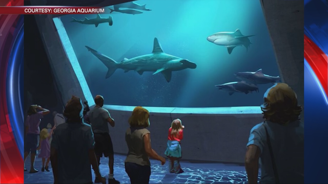 Georgia Aquarium begins expansion construction