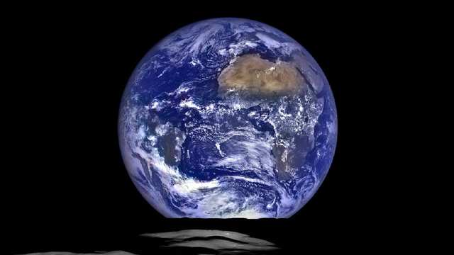 B.o.B. Believes the World is Flat