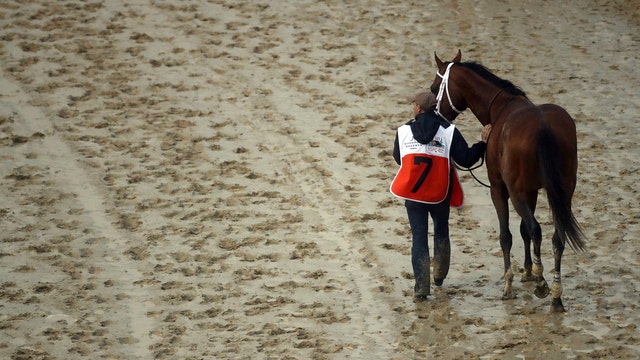 Maximum Security's Preakness status unclear after Derby DQ