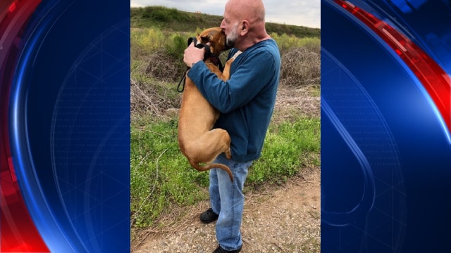 Reunited: Prized show dog lost at Atlanta's airport found safe