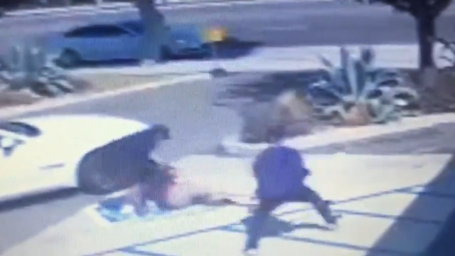 UPS drivers hailed as heroes after chasing off 2 suspects who attacked man