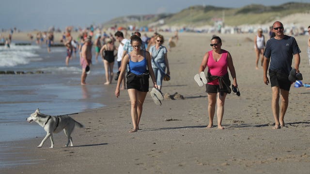 Saltwater poisoning: Dogs at risk during beach outings