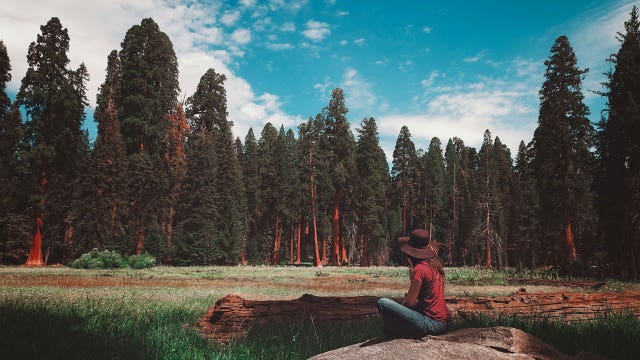 National Park Service will allow visitors into over 400 parks for free to celebrate 103rd birthday