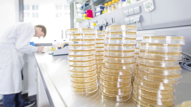 Preservative found in processed foods may be linked to autism, researchers suggest