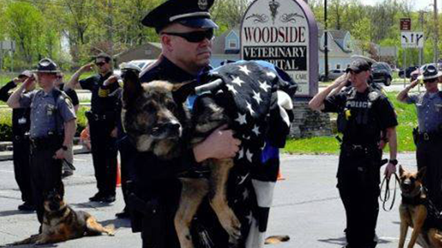 K-9 Klink saluted by fellow officers during his 'final walk'