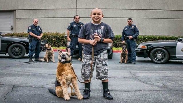 Boy battling cancer becomes honorary K9 officer