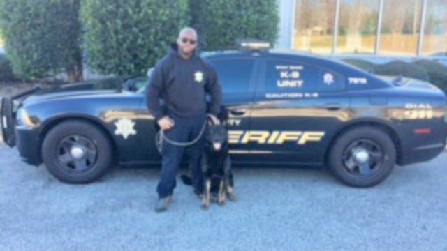 K-9 deputy tracks down car-burglary suspect on first day