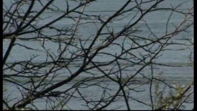 60-year-old man whose body was found in Lake Lanier identified