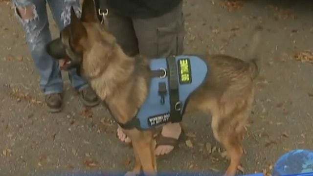 Marine vet kicked out of dog park with service dog