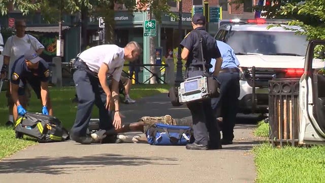 Overdose total hits 76 in Connecticut park near Yale