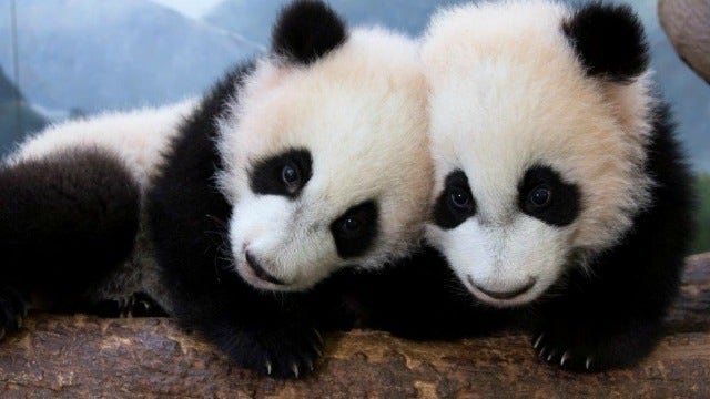 Things to do this week in Metro Atlanta: Sept. 19 - Sept. 25