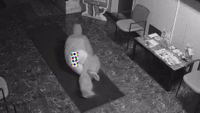 UNCENSORED: Bumbling barefoot crook loses pants in bungled burglary