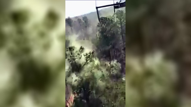 Video shows how bad the pollen season is in Georgia