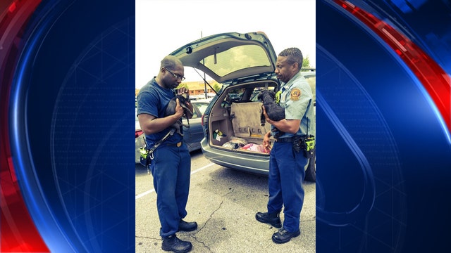 Firefighters warn car owners about hot car dangers