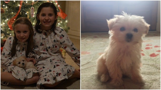 Gwinnett County sisters have priceless reaction to Christmas surprise