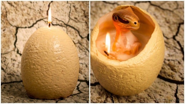 Hatching Dinosaur Candle: Hatch a Tiny Raptor at Home