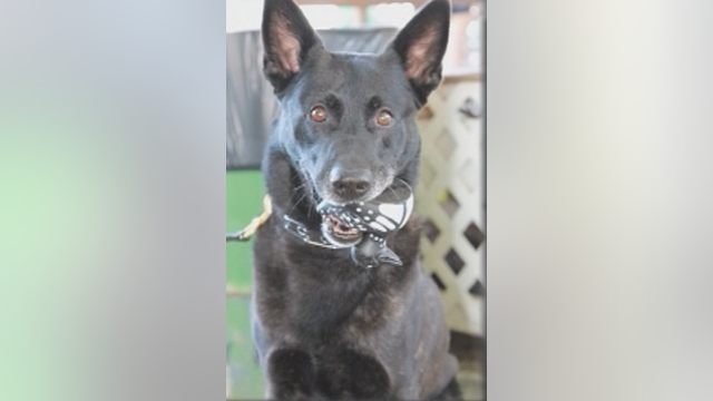 K-9 officer's final patrol