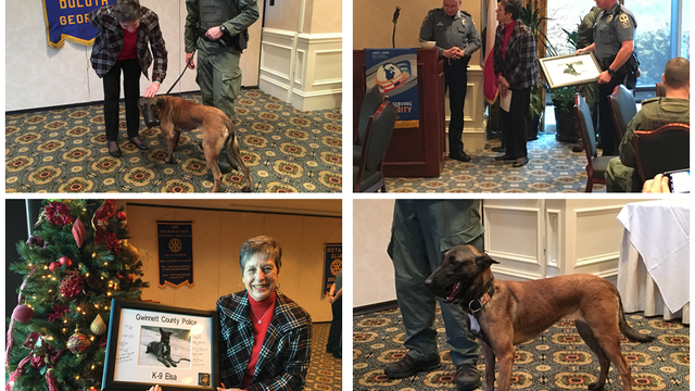 K-9 Elsa joins the Gwinnett County Police Department