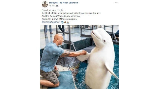 Dwayne 'The Rock' Johnson visits Georgia Aquarium