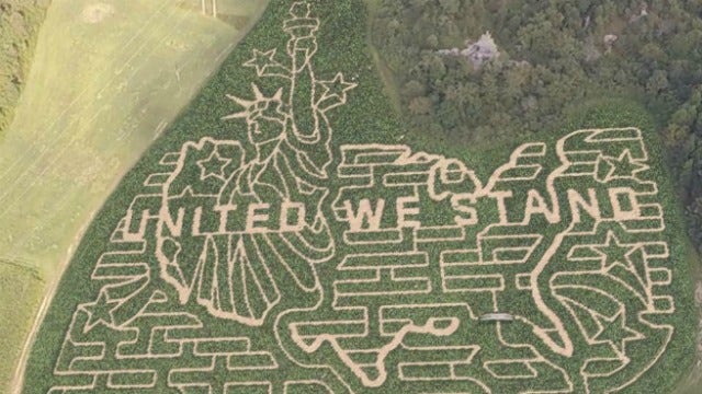Family farm celebrates fall with 7-acre corn maze