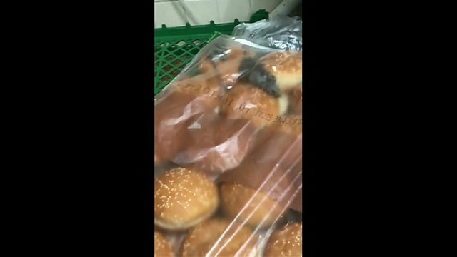 Video shows rodents running through burger buns at Delaware Burger King