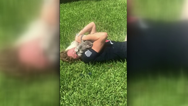 Texas dog welcomes owner home after months apart