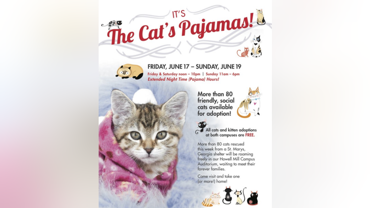 The Cat S Pajama S Free Adoption Event Fox 5 Atlanta