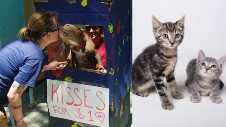 0d39612f-adoption event_1497536368554.jpg