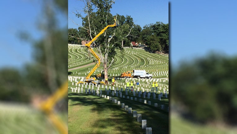 0d39612f-cemetery_1474492674040.jpg