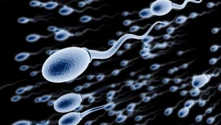 sperm-2-404023-404023.jpg