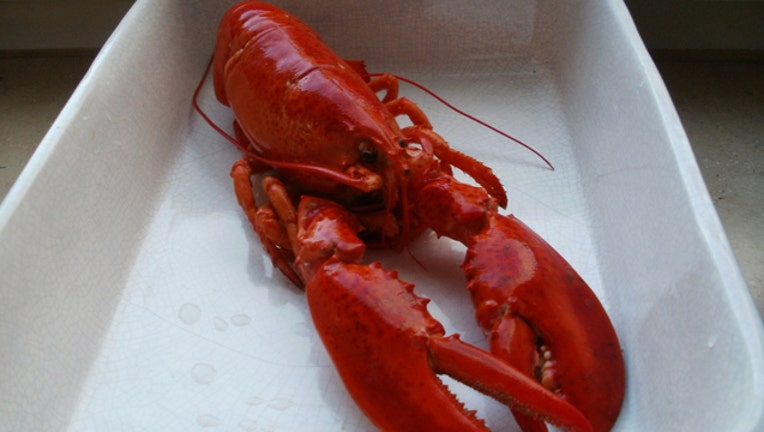 03ad0a49-20120114Hummer1_1491871016826-408200.jpg