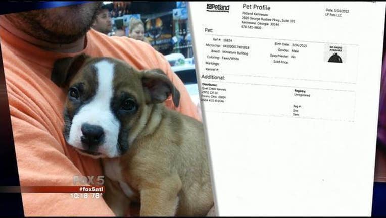 Petland prices deals
